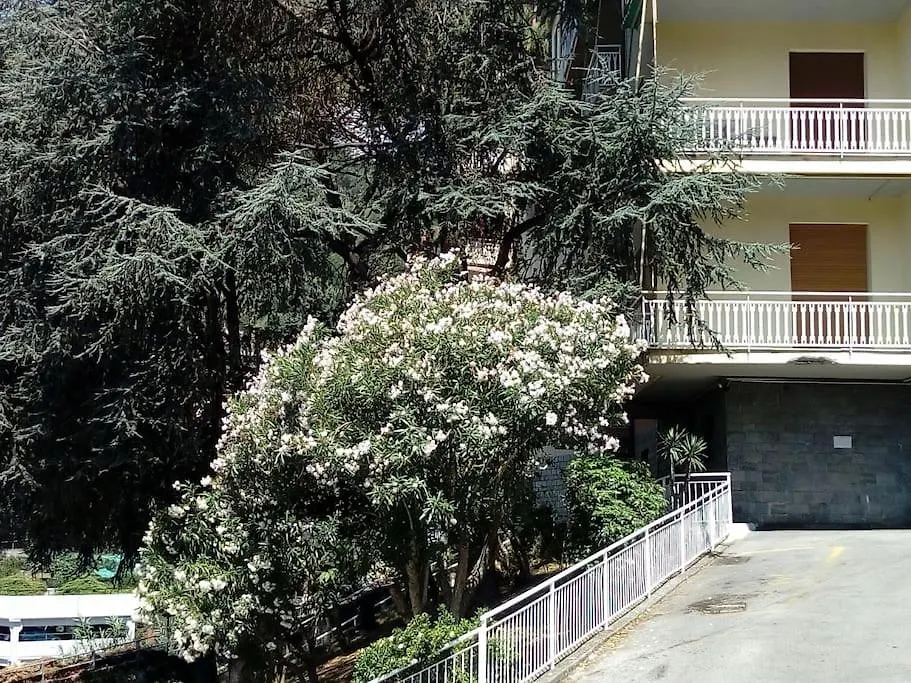 Alma Vacanza Rapallo Apartment